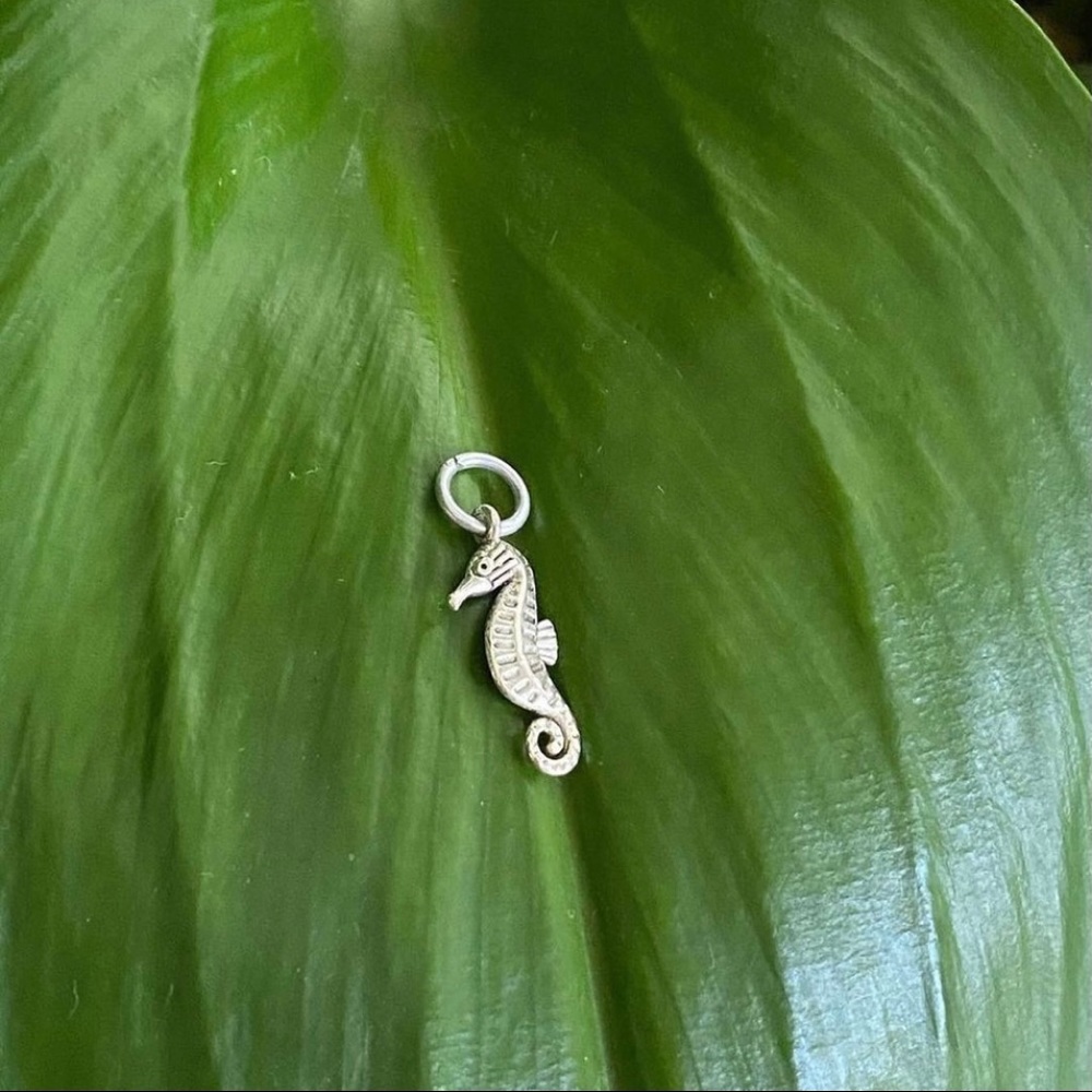 seahorse pendant